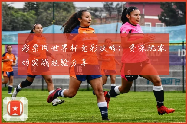 彩票网世界杯竞彩攻略:资深玩家的实战经验分享