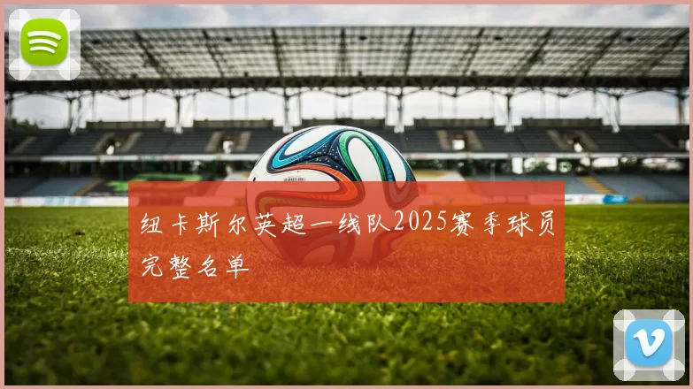 纽卡斯尔英超一线队2025赛季球员完整名单