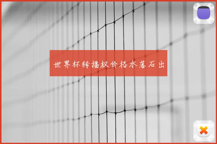世界杯转播权价格水落石出