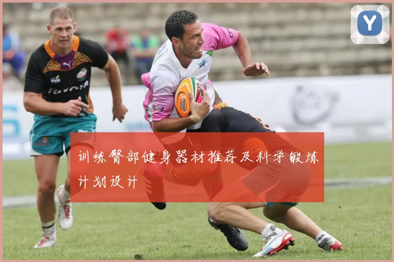 训练臀部健身器材推荐及科学锻炼计划设计
