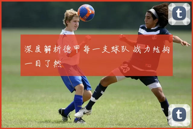 深度解析德甲每一支球队 战力结构一目了然
