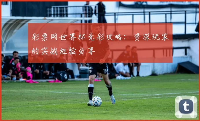 彩票网世界杯竞彩攻略:资深玩家的实战经验分享