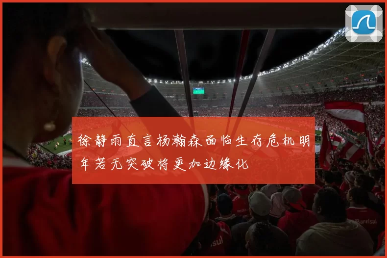 徐静雨直言杨瀚森面临生存危机明年若无突破将更加边缘化