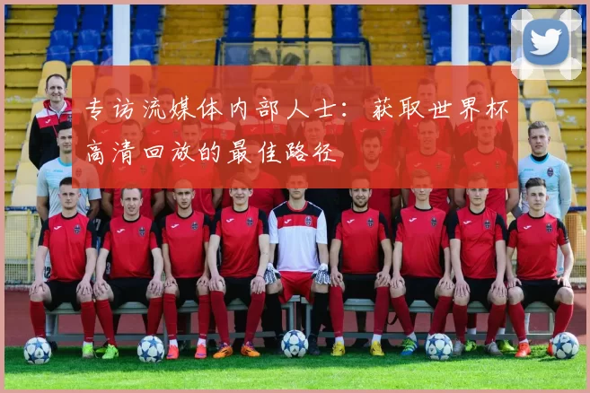专访流媒体内部人士:获取世界杯高清回放的最佳路径