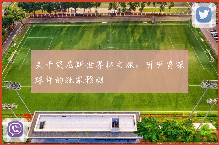关于突尼斯世界杯之旅,听听资深球评的独家预测