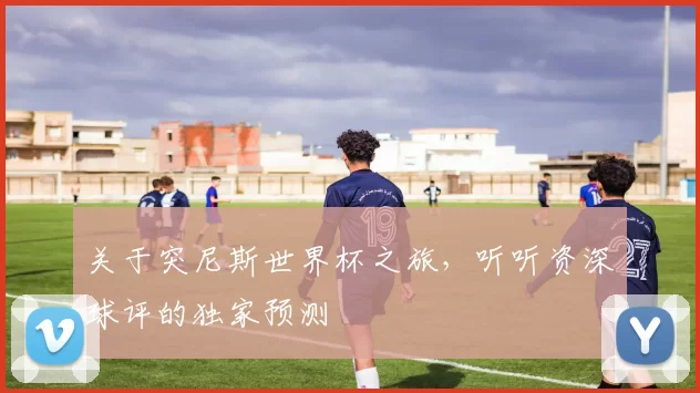 关于突尼斯世界杯之旅,听听资深球评的独家预测