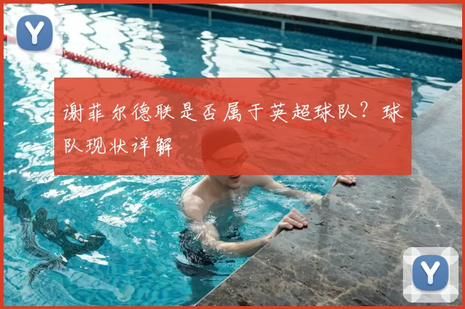 谢菲尔德联是否属于英超球队?球队现状详解