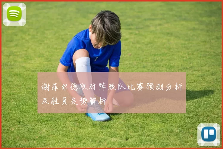 谢菲尔德联对阵狼队比赛预测分析及胜负走势解析