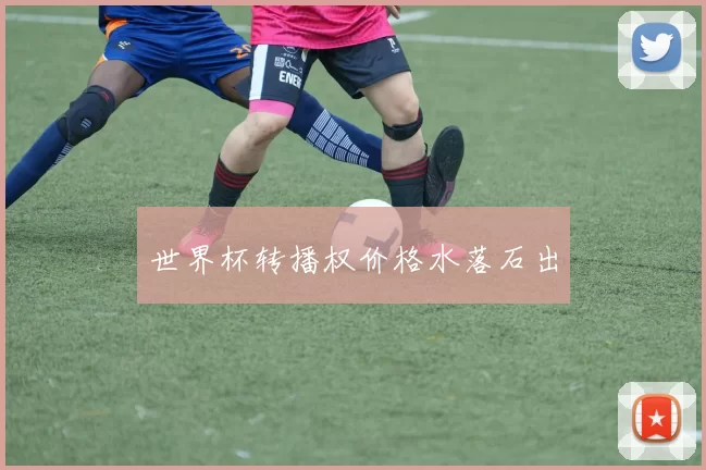 世界杯转播权价格水落石出