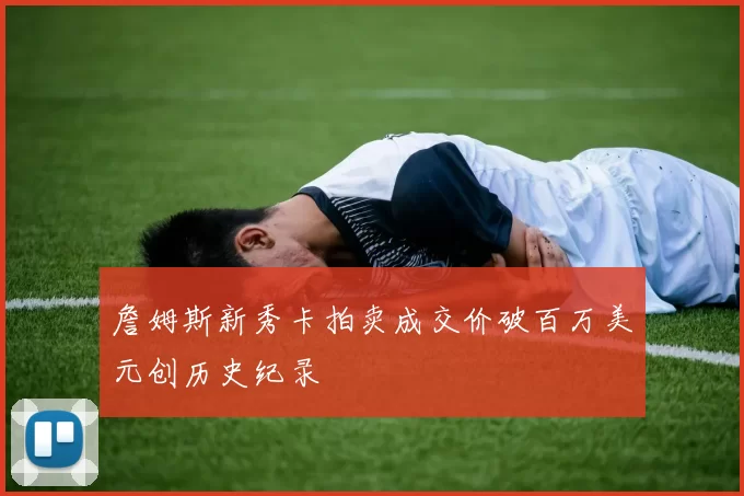 詹姆斯新秀卡拍卖成交价破百万美元创历史纪录