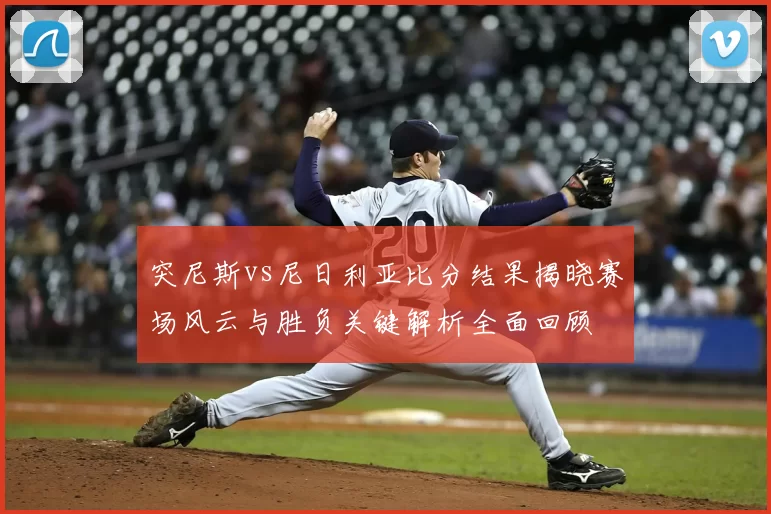 突尼斯vs尼日利亚比分结果揭晓赛场风云与胜负关键解析全面回顾
