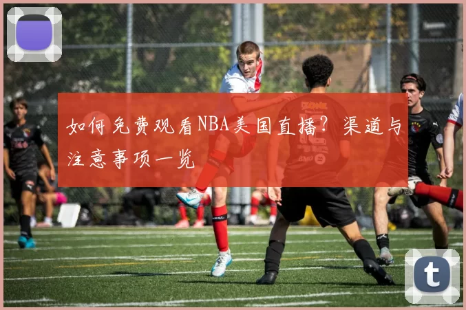 如何免费观看NBA美国直播?渠道与注意事项一览