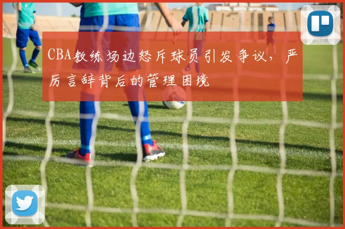 CBA教练场边怒斥球员引发争议，严厉言辞背后的管理困境