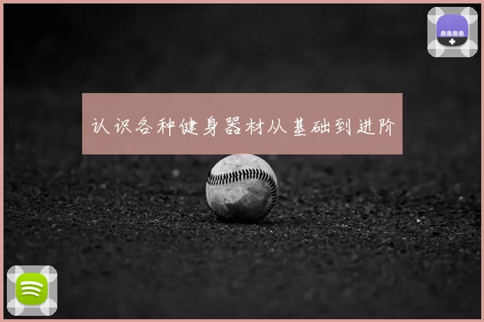 认识各种健身器材从基础到进阶