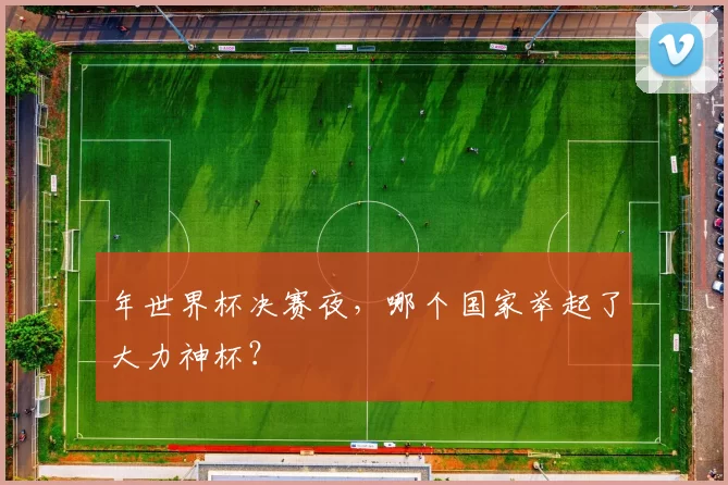 年世界杯决赛夜,哪个国家举起了大力神杯?