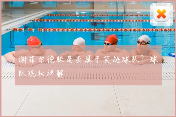 谢菲尔德联是否属于英超球队?球队现状详解