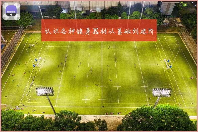 认识各种健身器材从基础到进阶