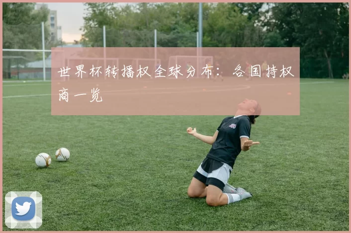 世界杯转播权全球分布:各国持权商一览