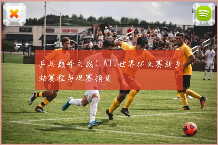 乒乓巅峰之战！WTT世界杯决赛新乡站赛程与观赛指南