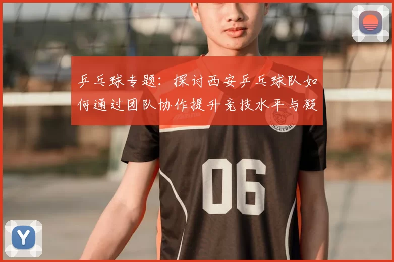 乒乓球专题：探讨西安乒乓球队如何通过团队协作提升竞技水平与凝聚力
