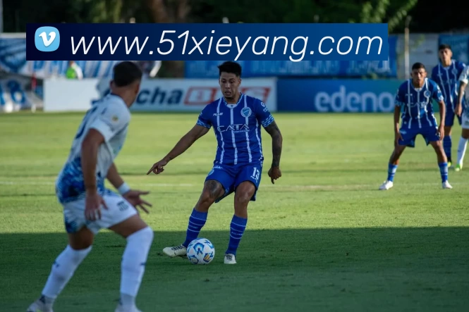 华体会体育平台生态图